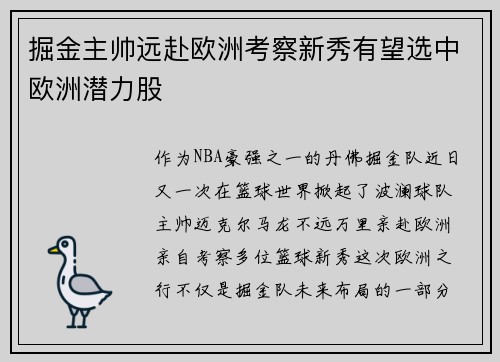 掘金主帅远赴欧洲考察新秀有望选中欧洲潜力股