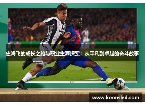 史鸿飞的成长之路与职业生涯探索：从平凡到卓越的奋斗故事